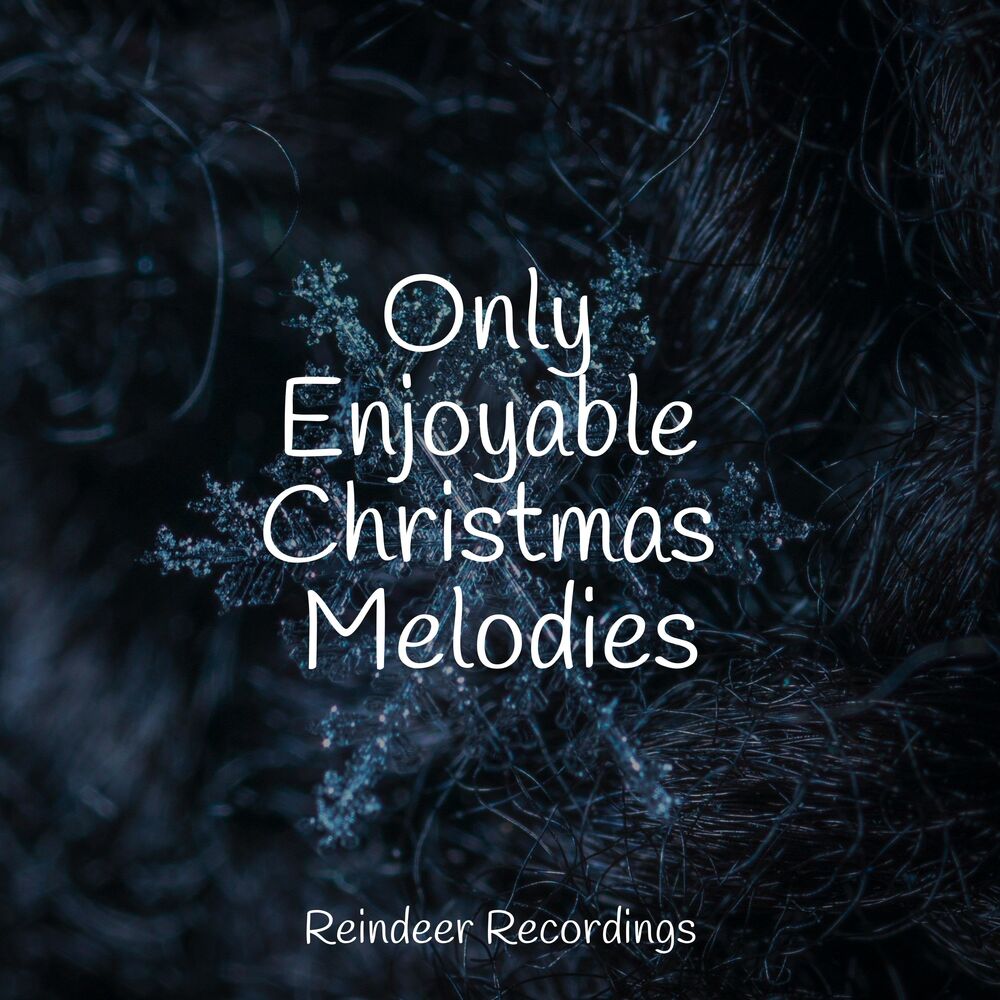 Picture of Only Enjoyable Christmas Melodies