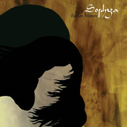 Cover of Broken Mirrors