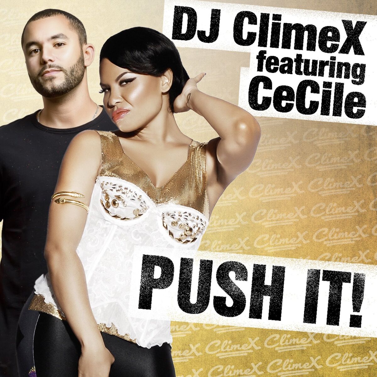 Album cover of Push It