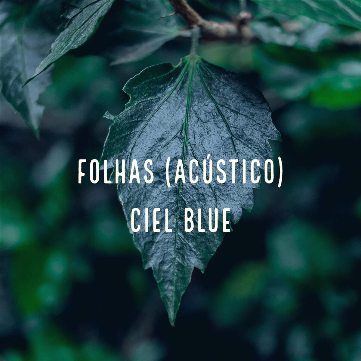 Album cover of Folhas (Acústico)