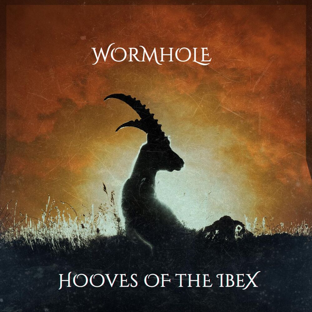 Picture of Hooves of the Ibex
