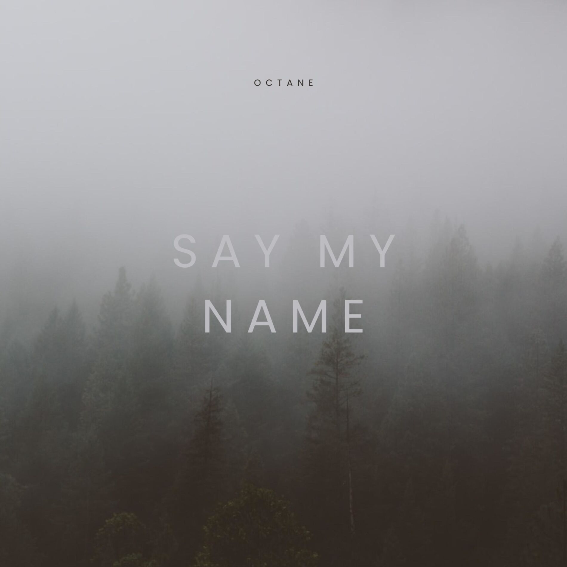 Album cover of Say My Name