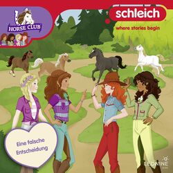 Cover of Folge 20: Eine falsche Entscheidung