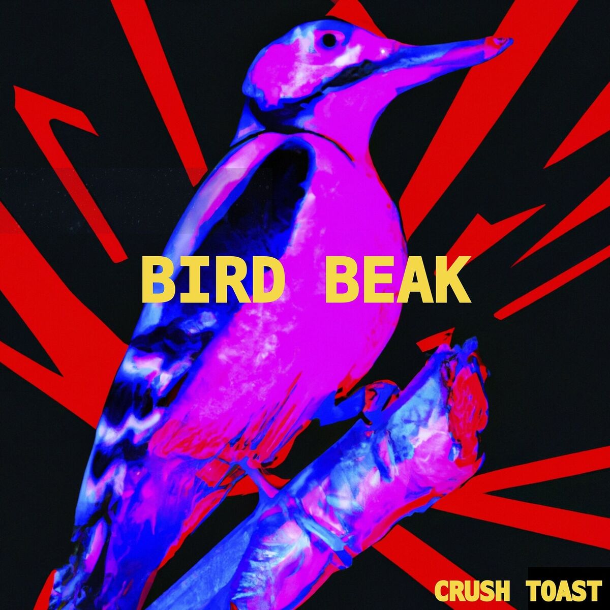 Album cover of Bird Beak