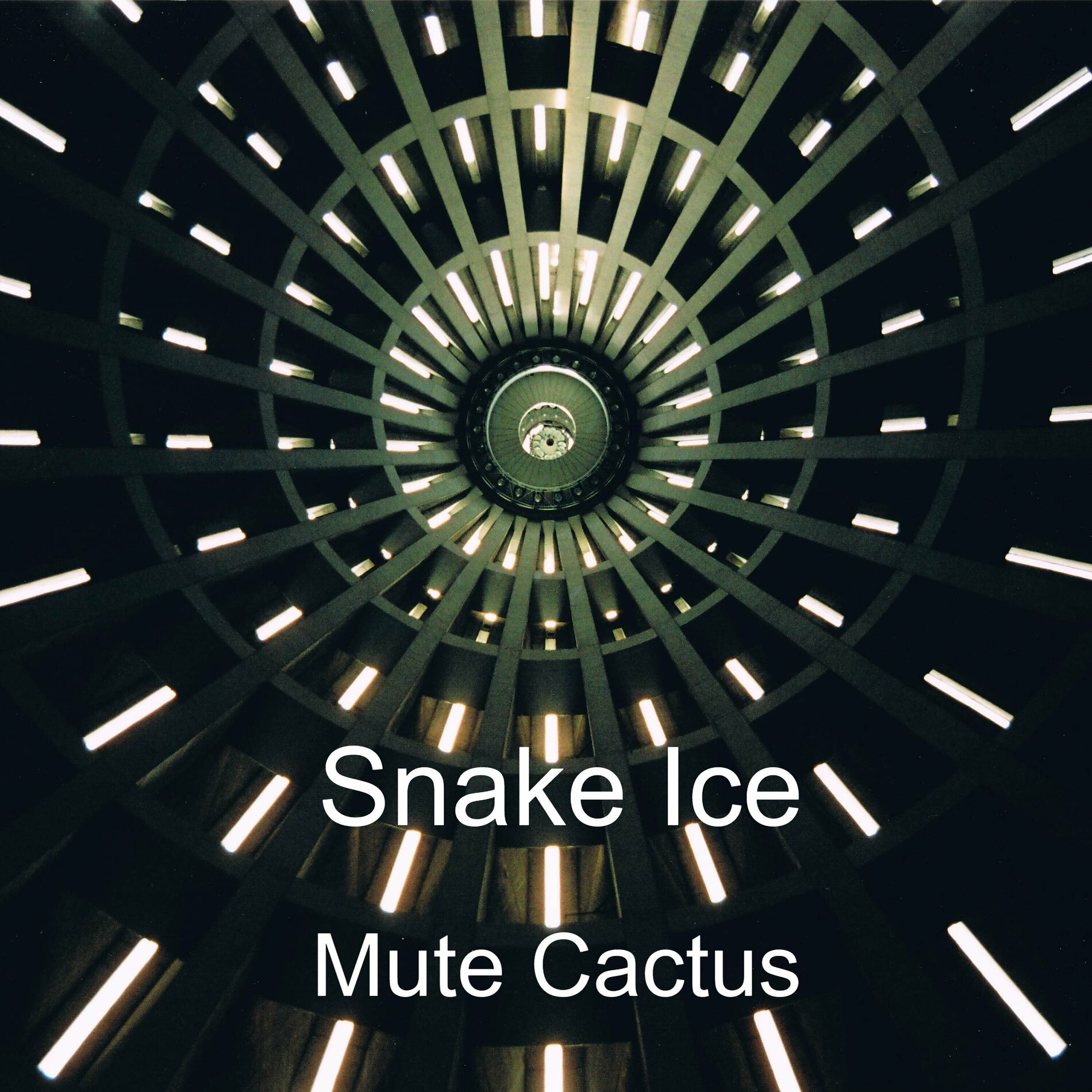 Album cover of Mute Cactus