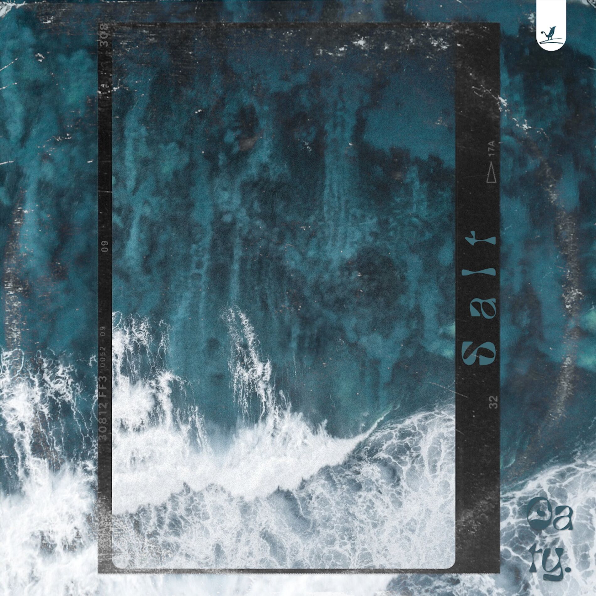 Album cover of Salt