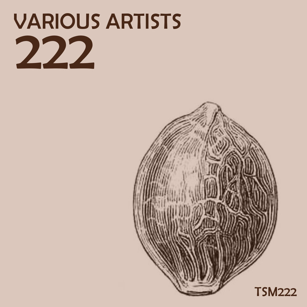 Picture of 222