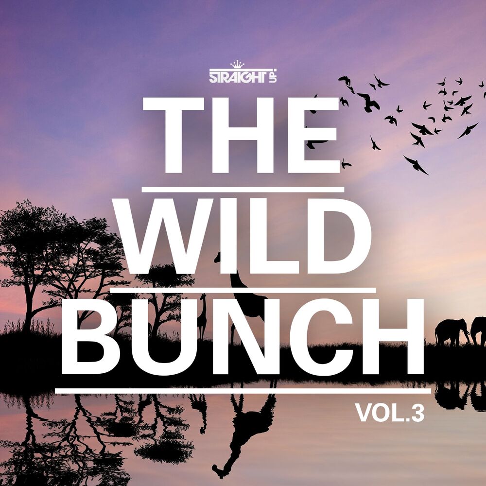 Picture of The Wild Bunch Vol. 3