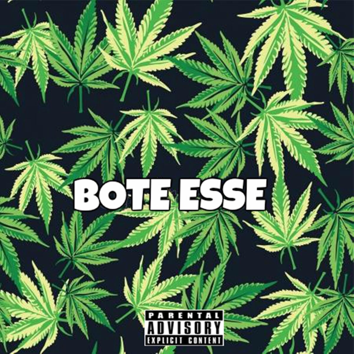 Album cover of Bote Esse