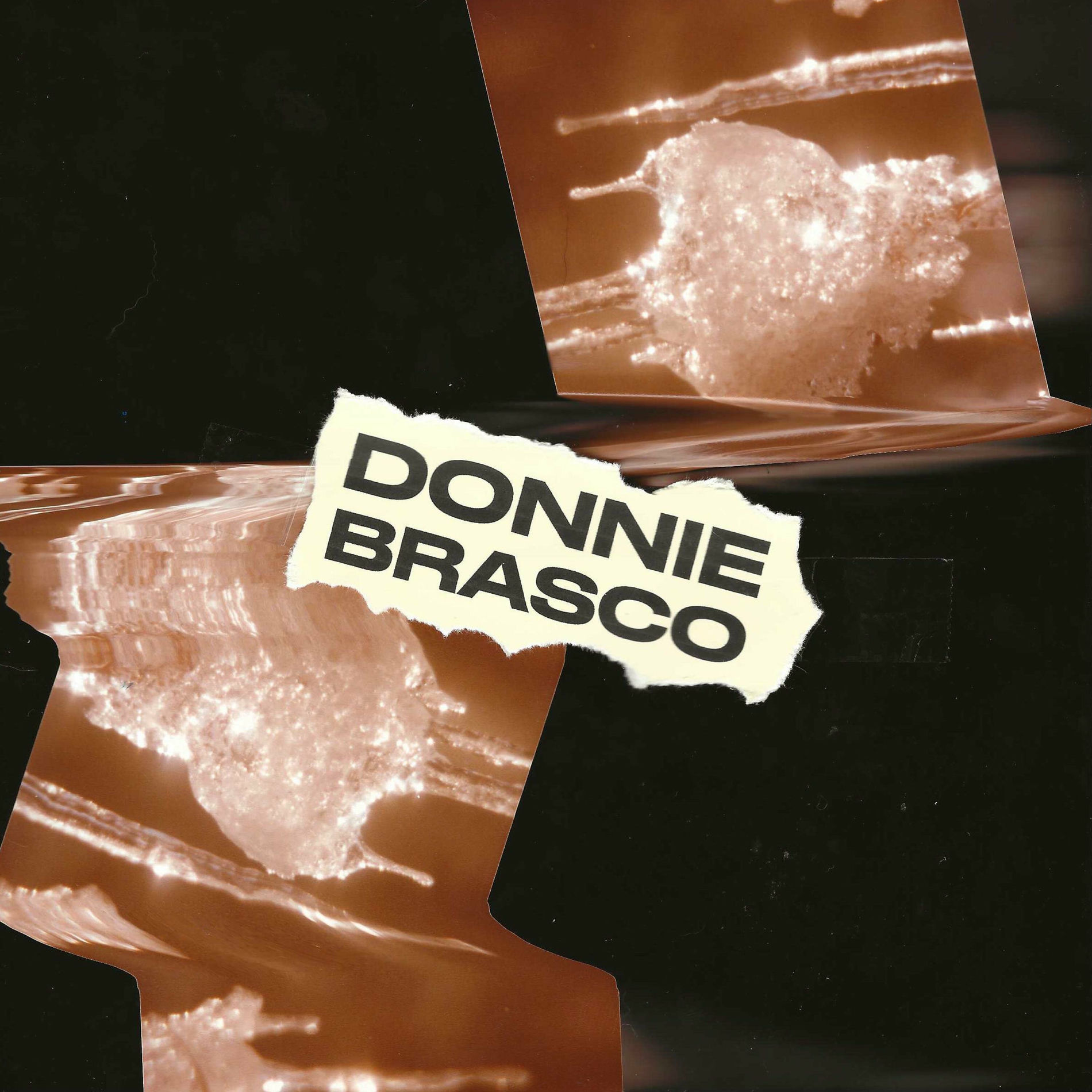 Album cover of Donnie Brasco
