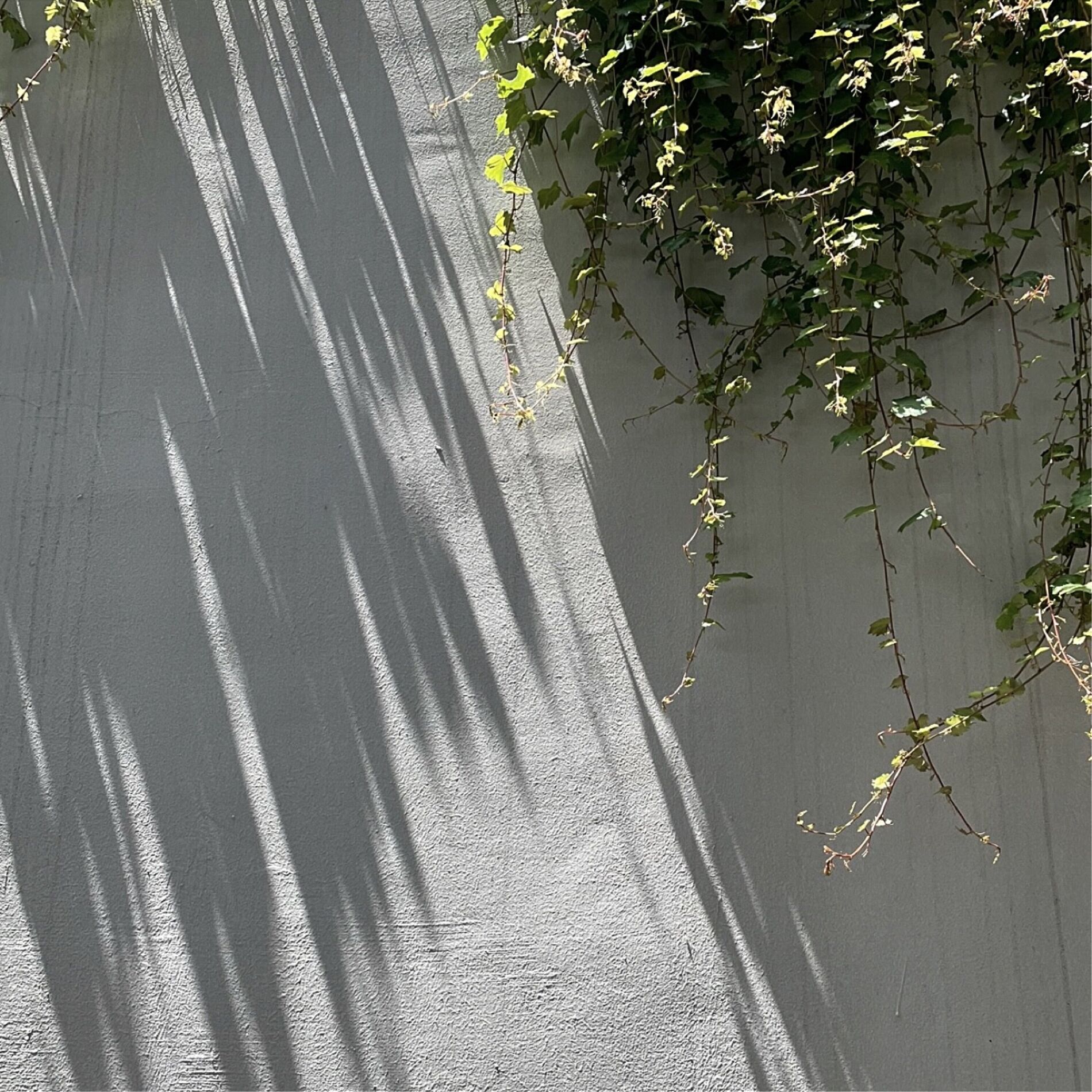 Album cover of 그 시절 우리의 것