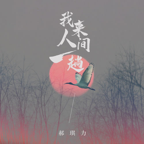我来人间一趟