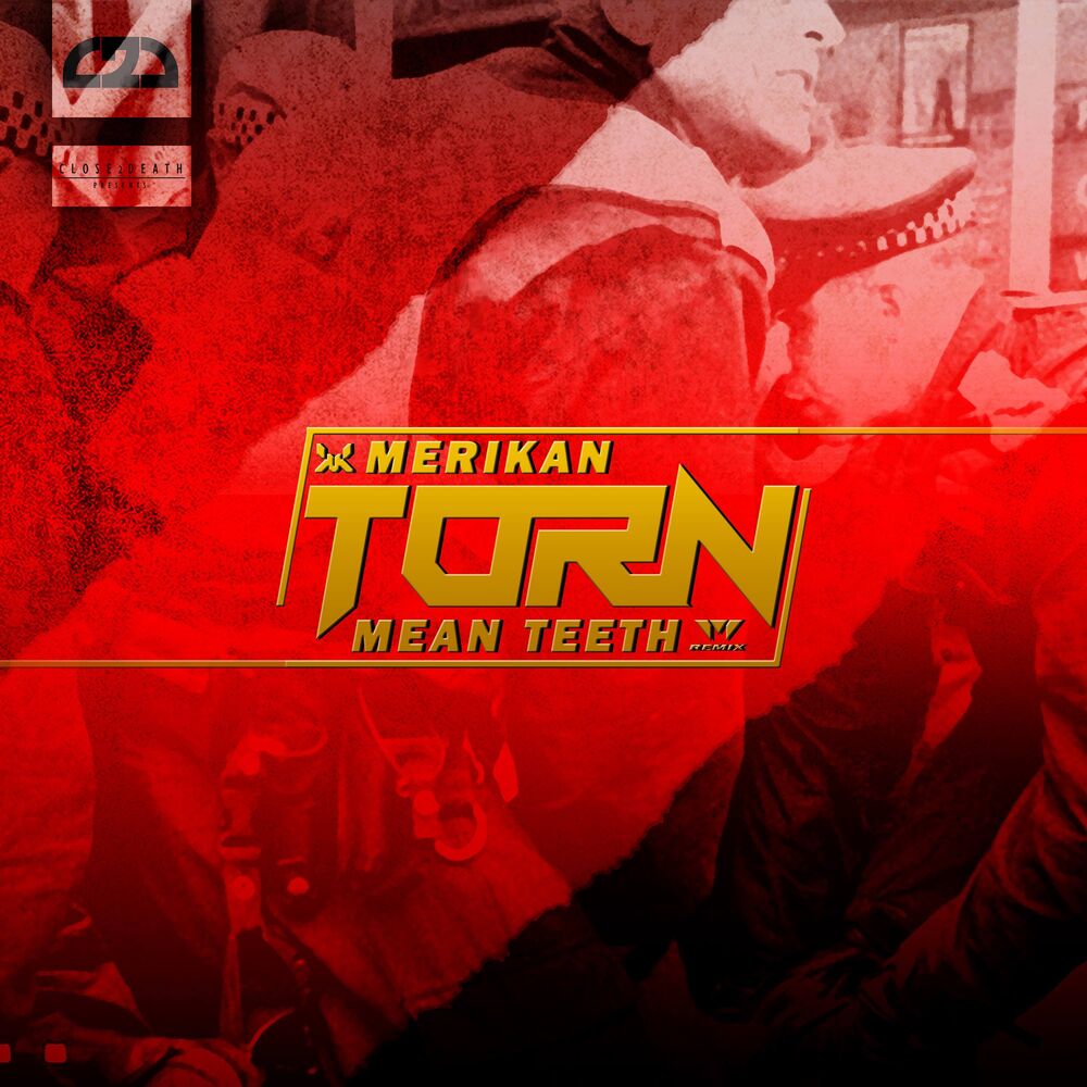 Picture of Torn (Mean Teeth Remix)