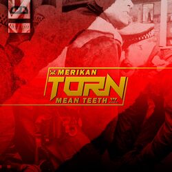 Cover of Torn (Mean Teeth Remix)