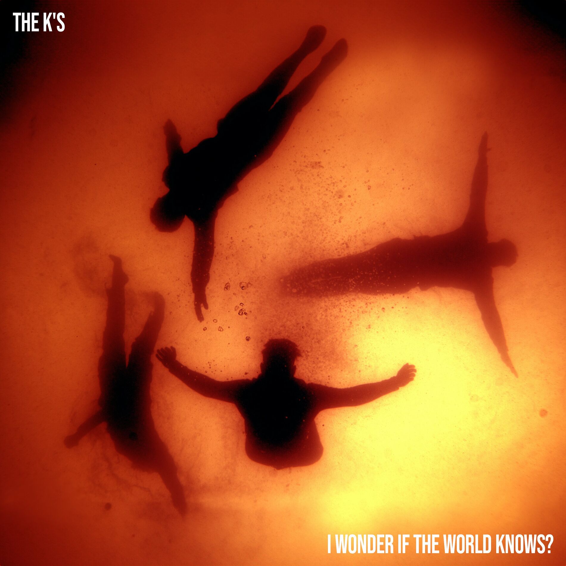 Album cover of I Wonder If The World Knows?