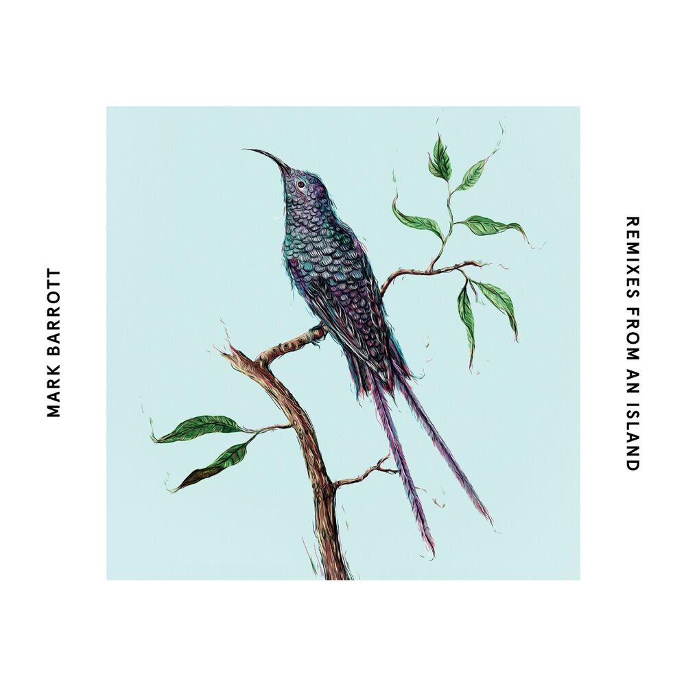 Picture of Remixes From An Island