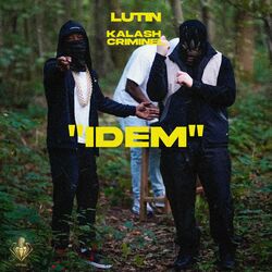 Cover of IDEM