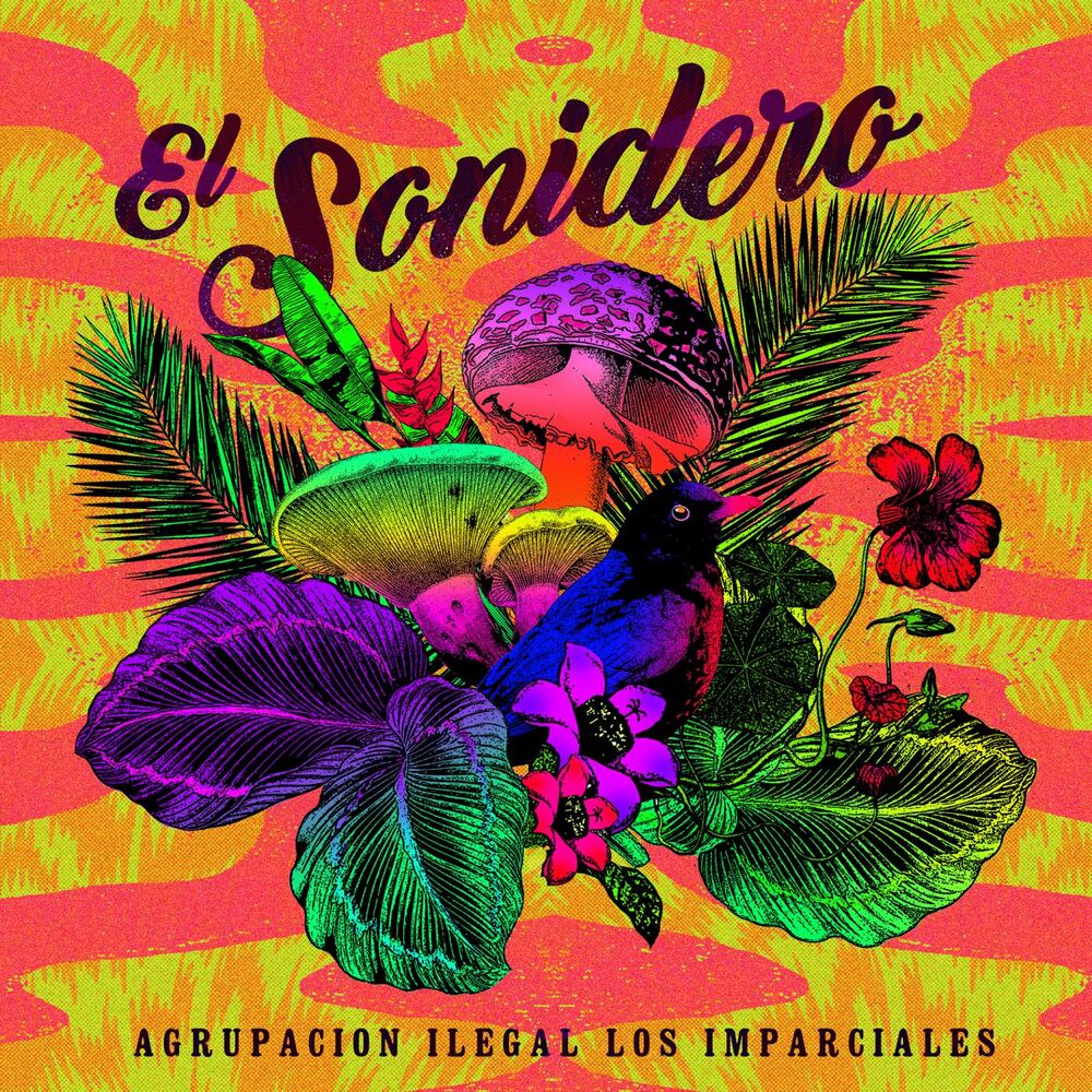 Picture of El Sonidero