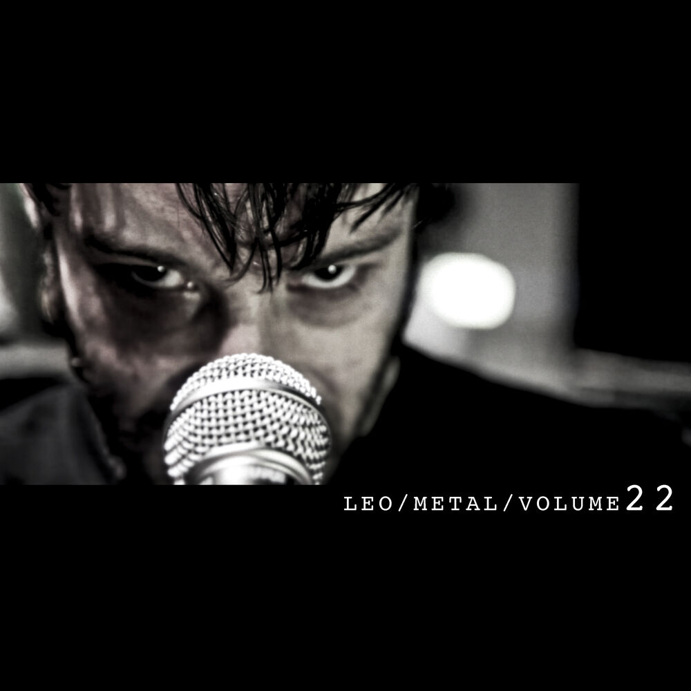 Picture of Leo Metal, Vol. 22