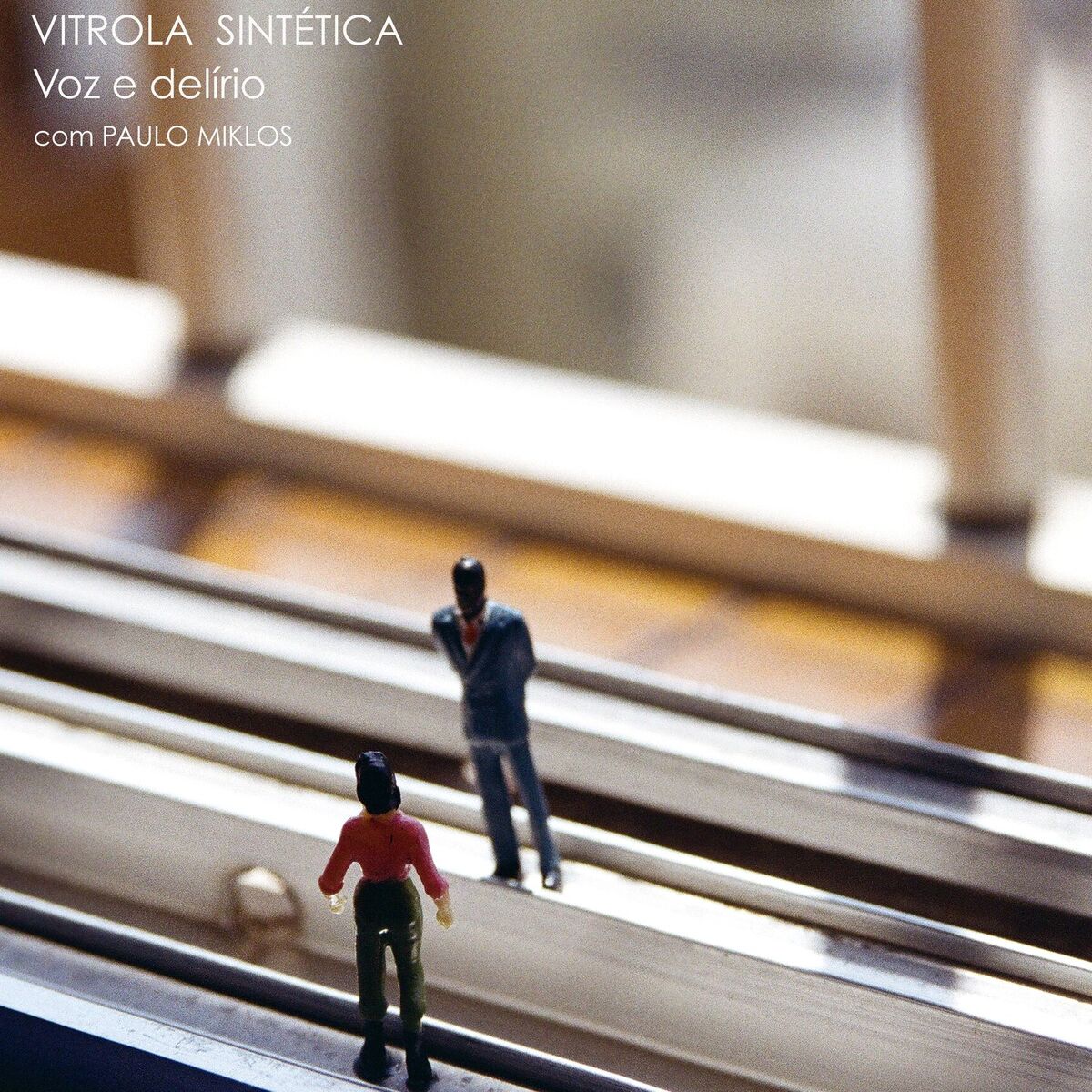 Album cover of Voz e Delírio