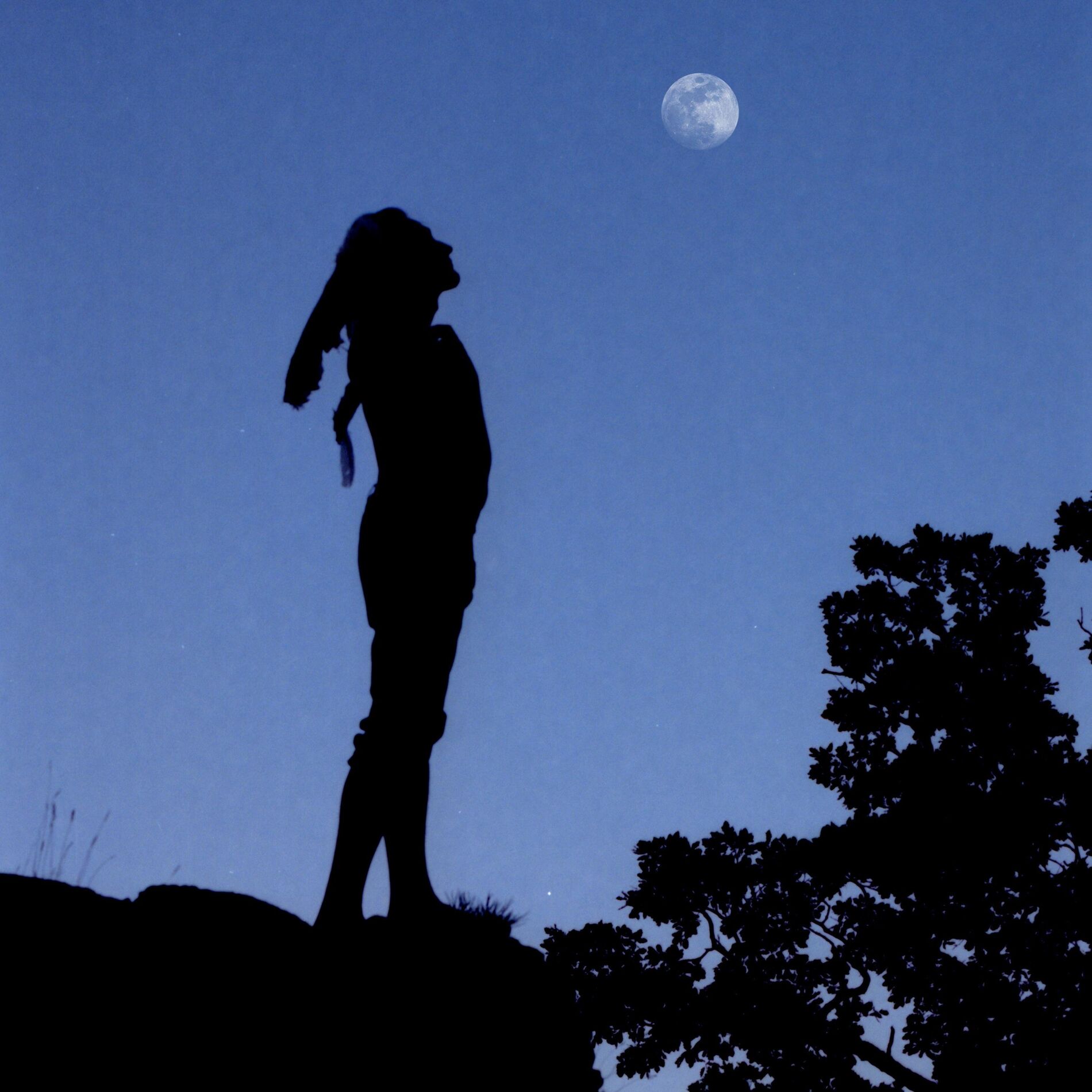 Album cover of Flesh and Bones