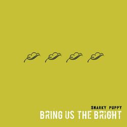 Cover of Bring Us The Bright