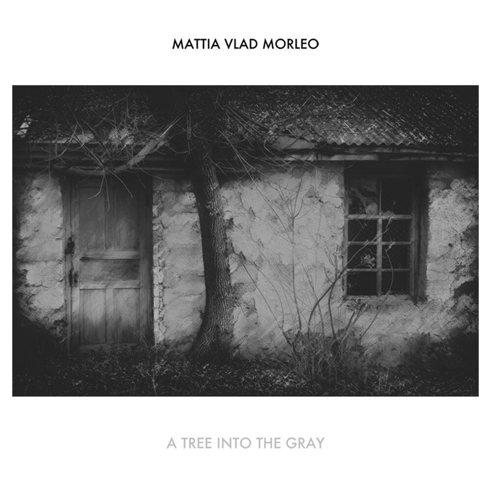 Picture of A Tree into the Gray