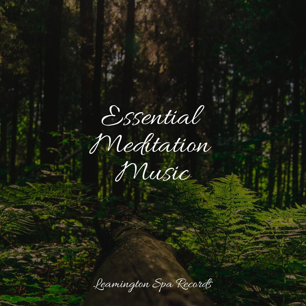 Picture of Essential Meditation Music