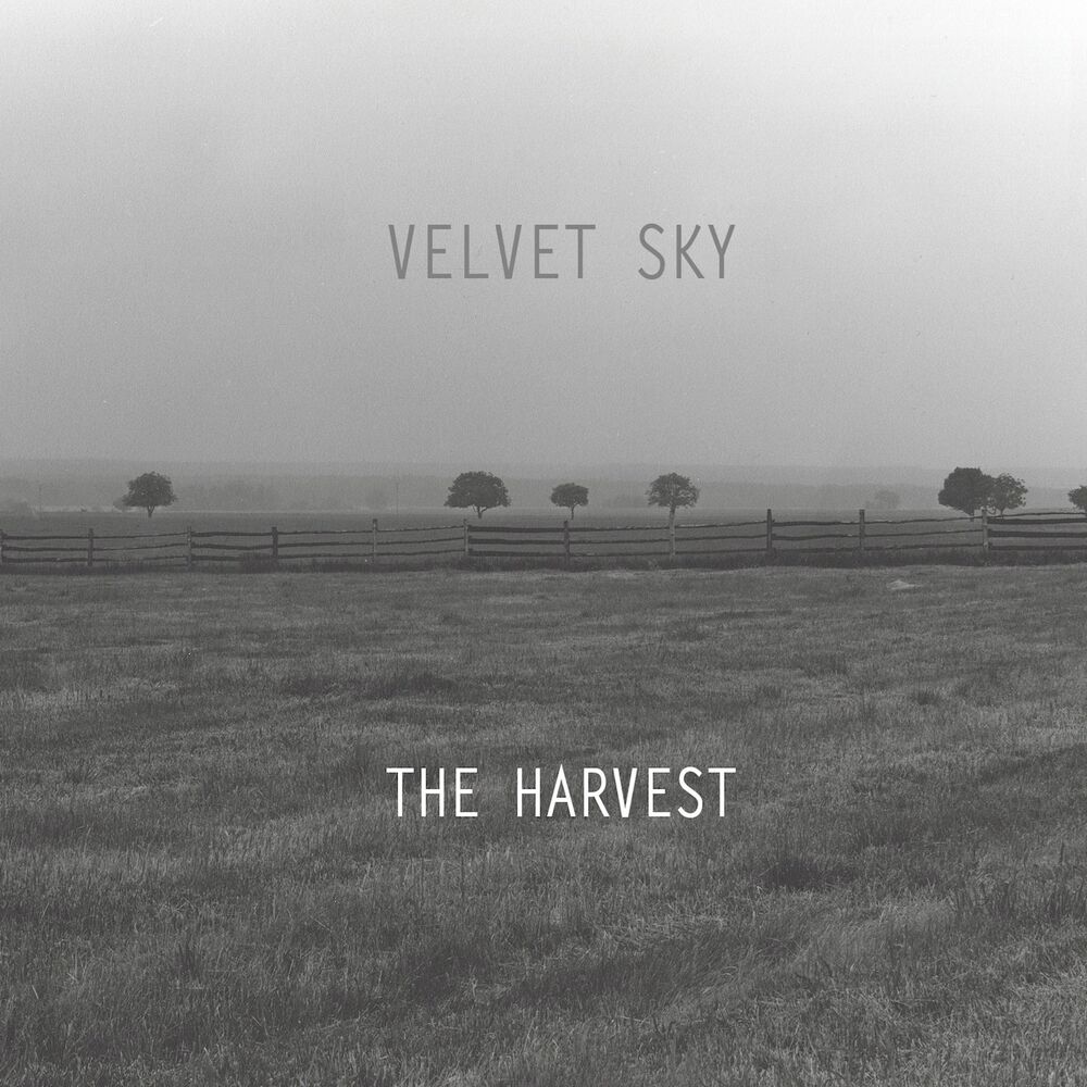 Picture of The Harvest