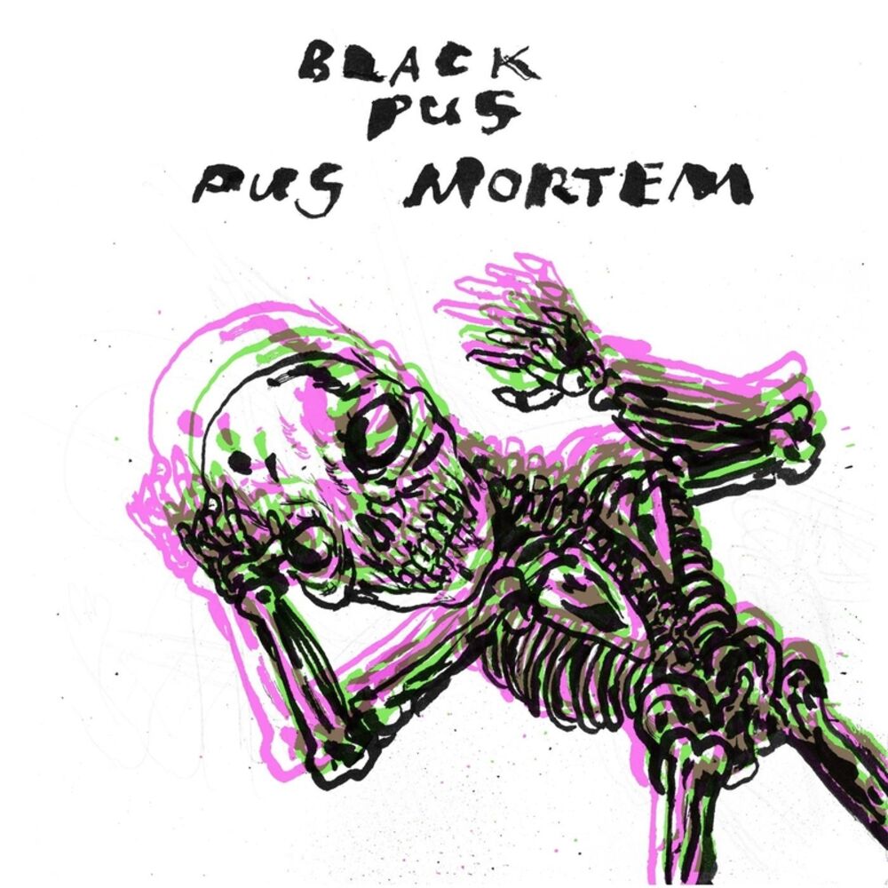 Picture of Pus Mortem