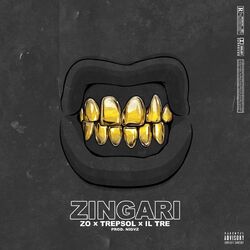 Cover of Zingari
