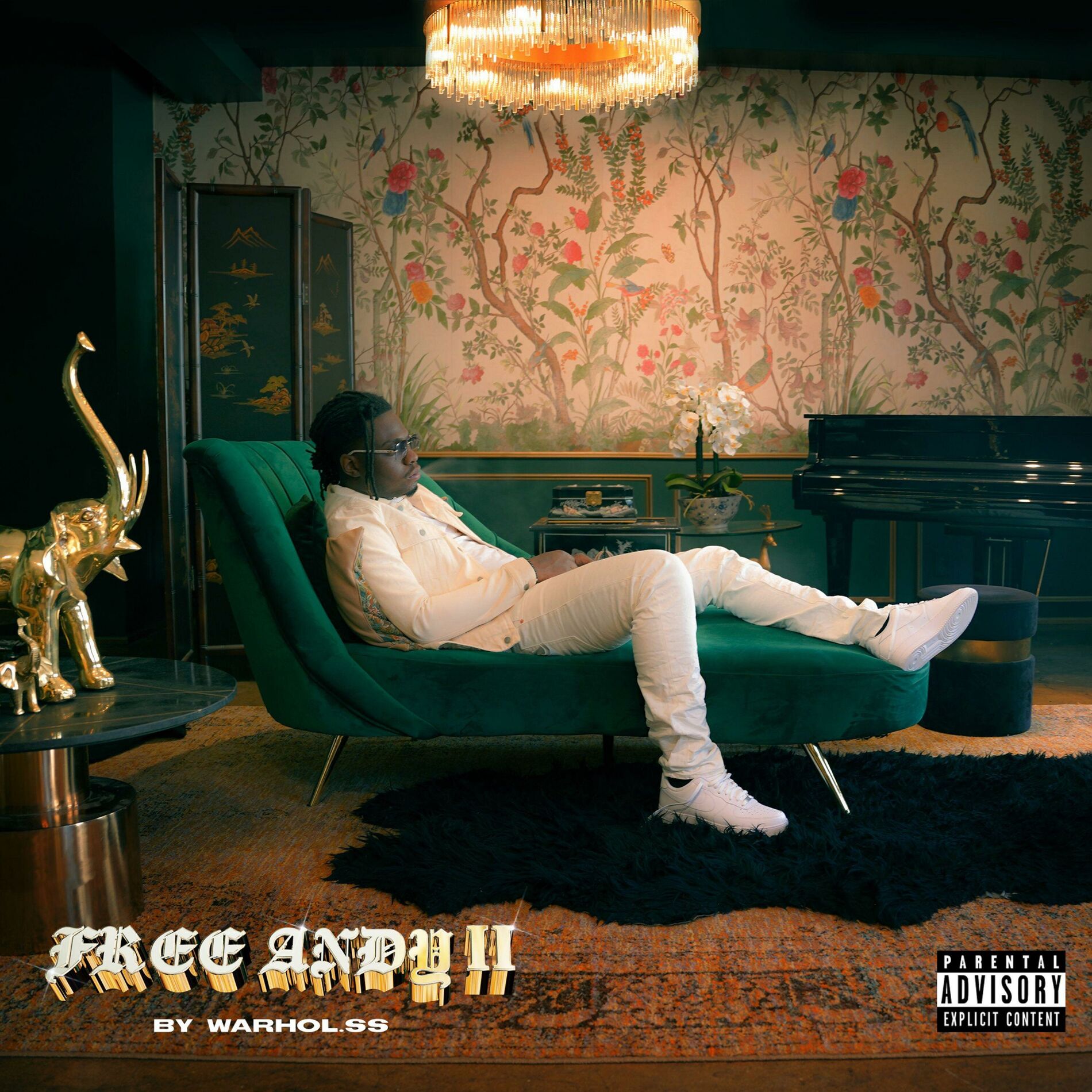 Album cover of Free Andy II