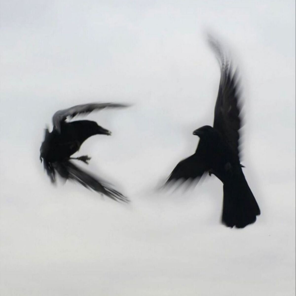 Album cover of NEXT GEN