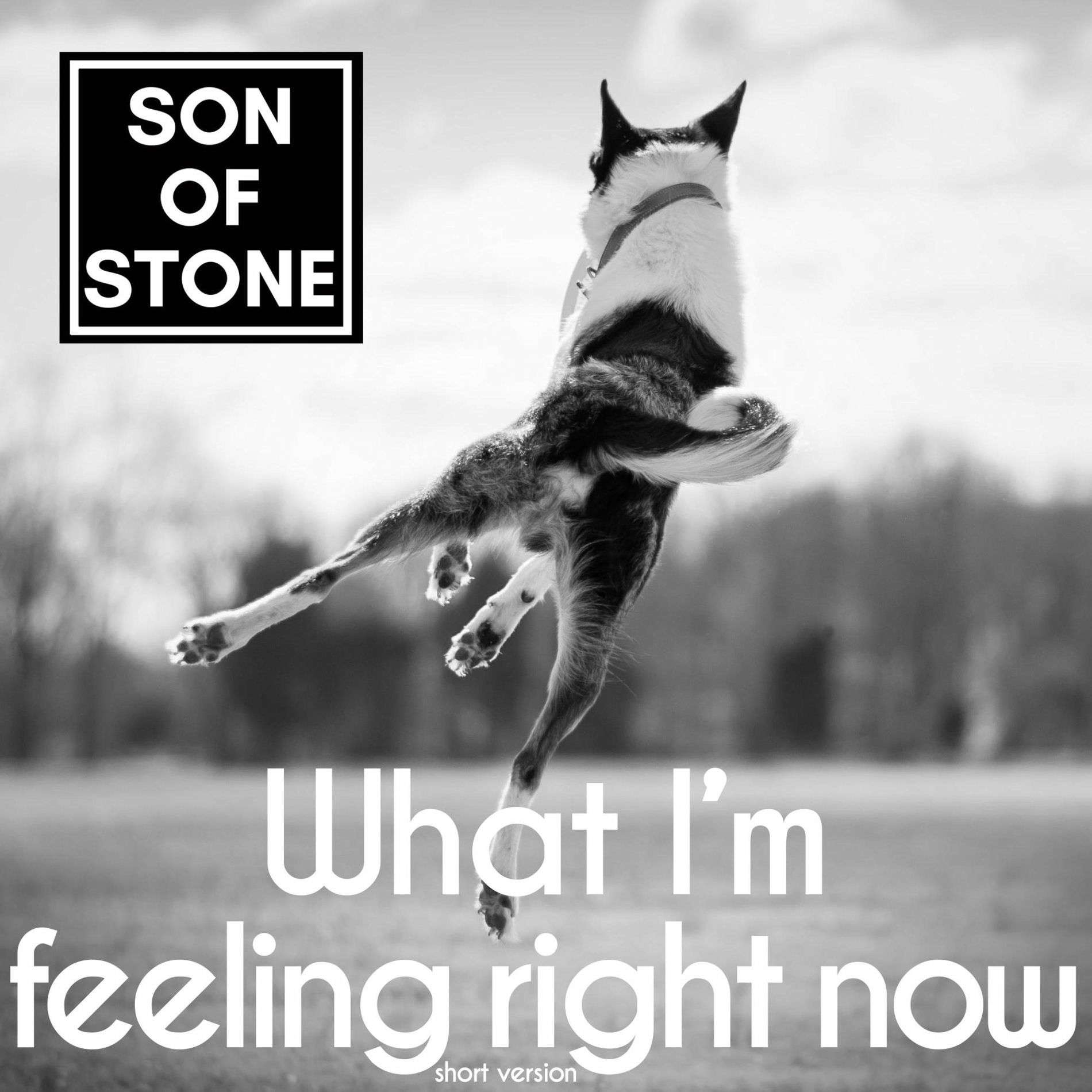 Album cover of What am feeling right now (short version)