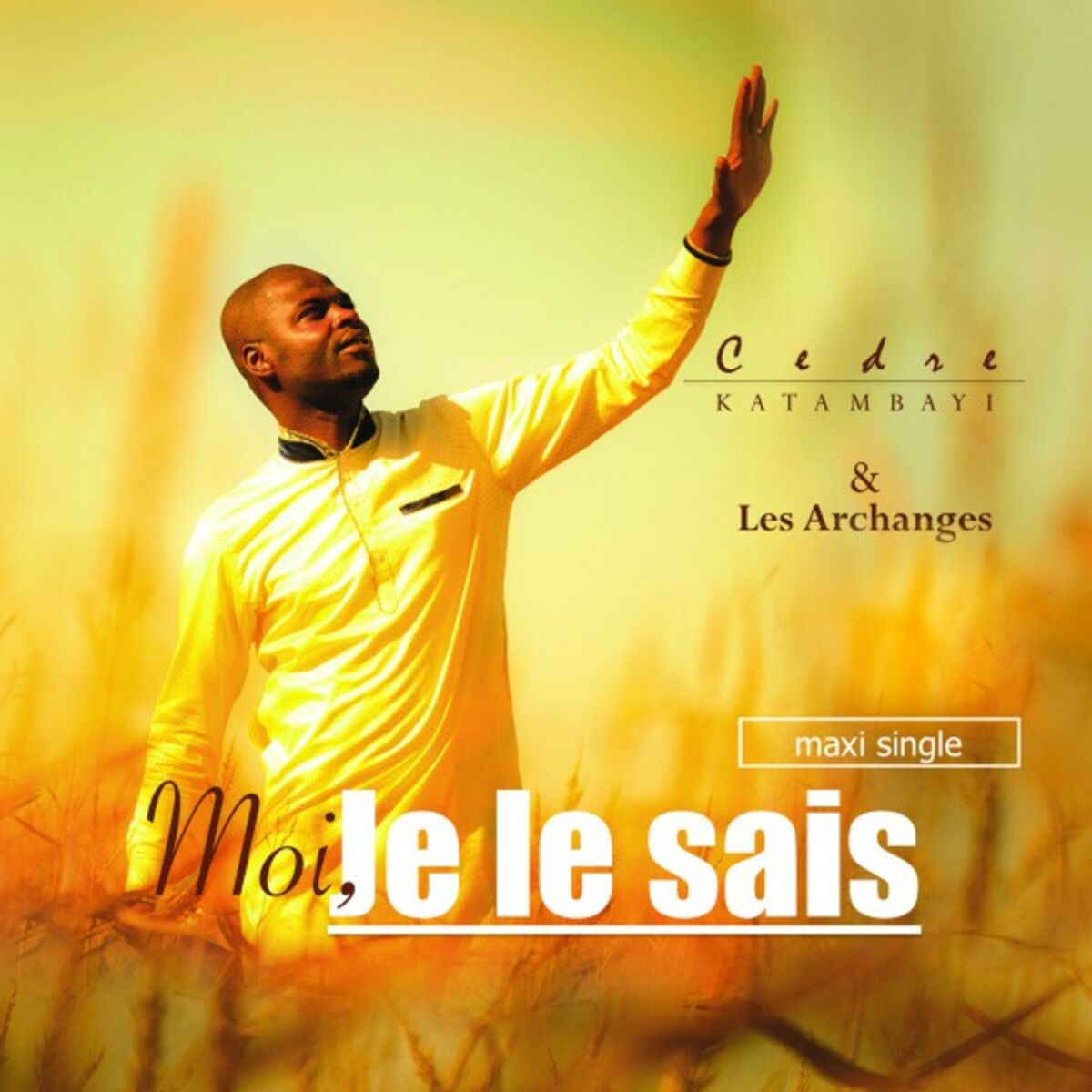 Album cover of Moi, je le sais ...