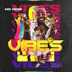 Cover of Vibes