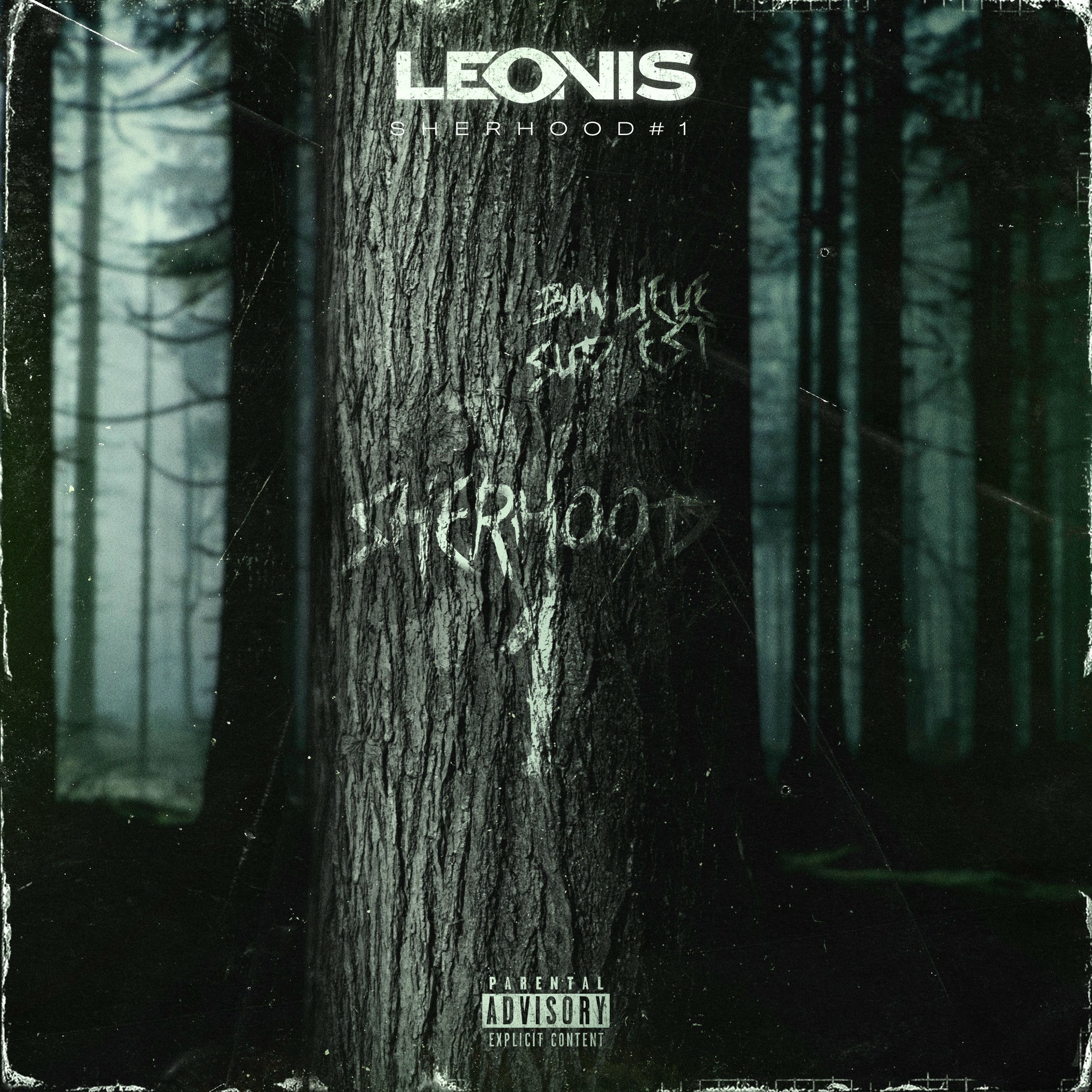 Album cover of Banlieue sud-est (Sherhood #1)