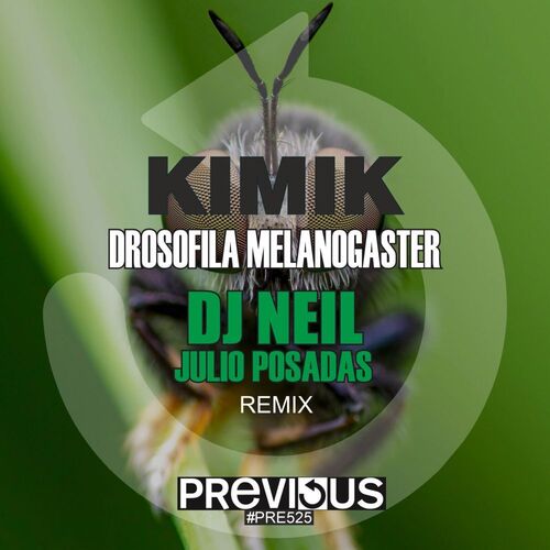  Kimik - Drosofila Melanogaster (DJ Neil and Julio Posadas Remix) (2025) 