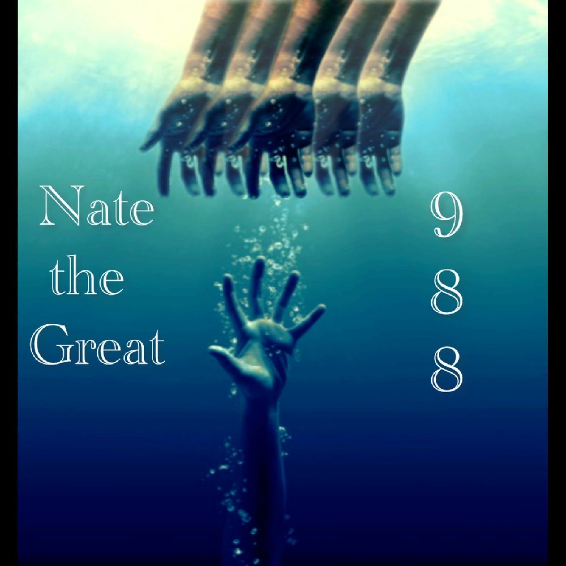 Album cover of 988 (feat. Various People & Shin-Ski)