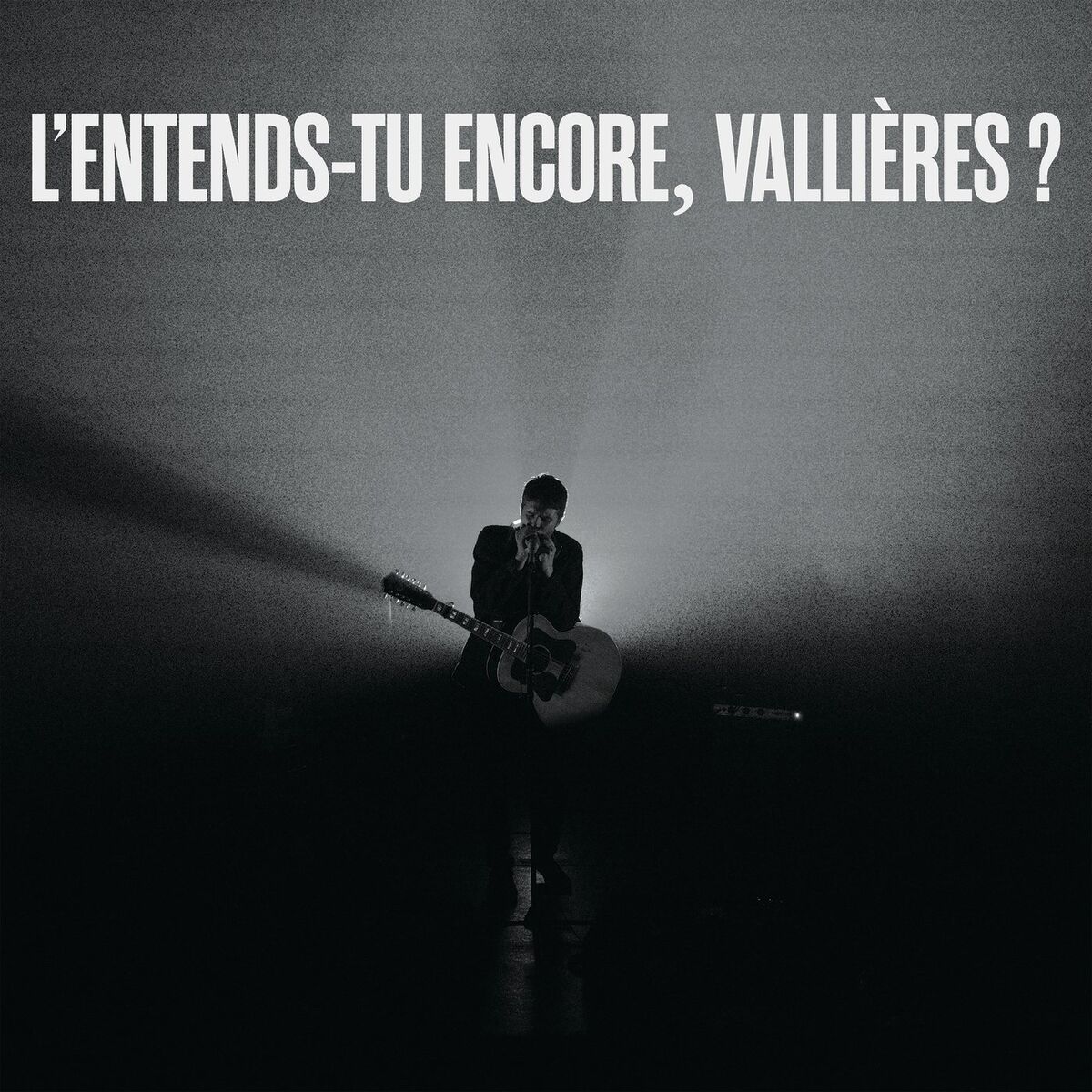Album cover of L'entends-tu encore, Vallières? (le spectacle intégral / Live)