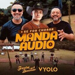 Cover of Se For Chorar Manda Áudio (Remix)