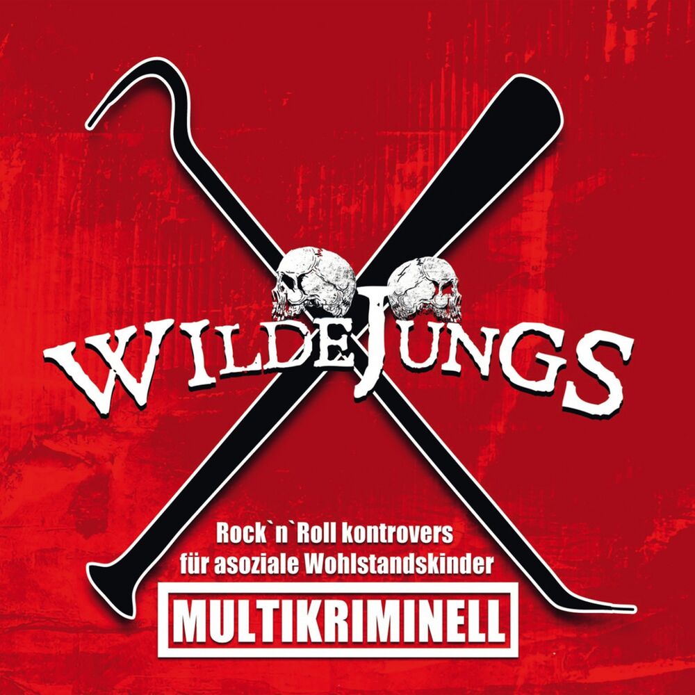 Picture of Multikriminell