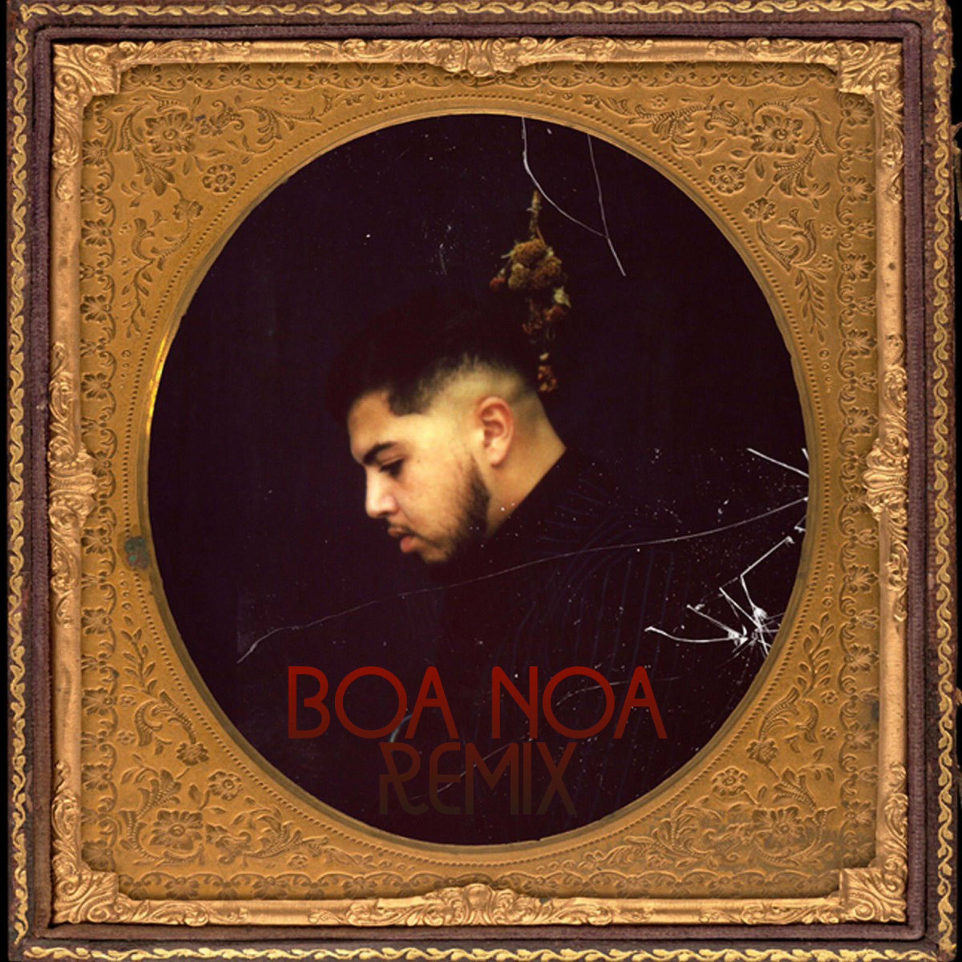Album cover of Nocif (Boa Noa Remix)