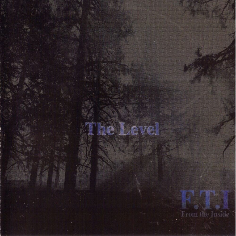 Picture of The Level
