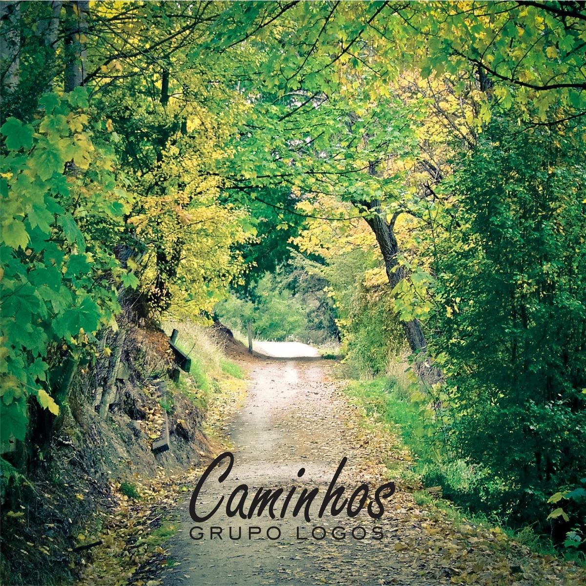 Album cover of Caminhos