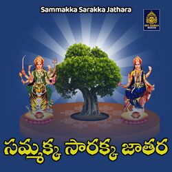 Cover of Sammakka Sarakka Jathara