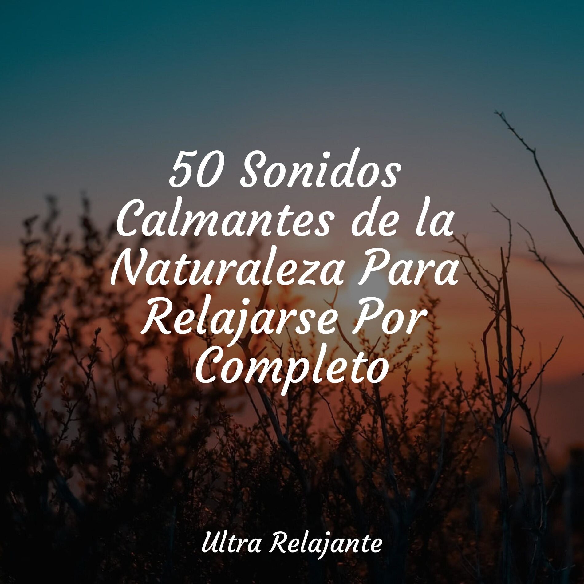 Album cover of 50 Sonidos Calmantes de la Naturaleza Para Relajarse Por Completo