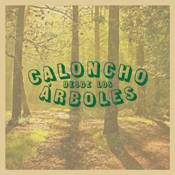 Cover of Desde Los Árboles (En Directo Desde El Desierto)