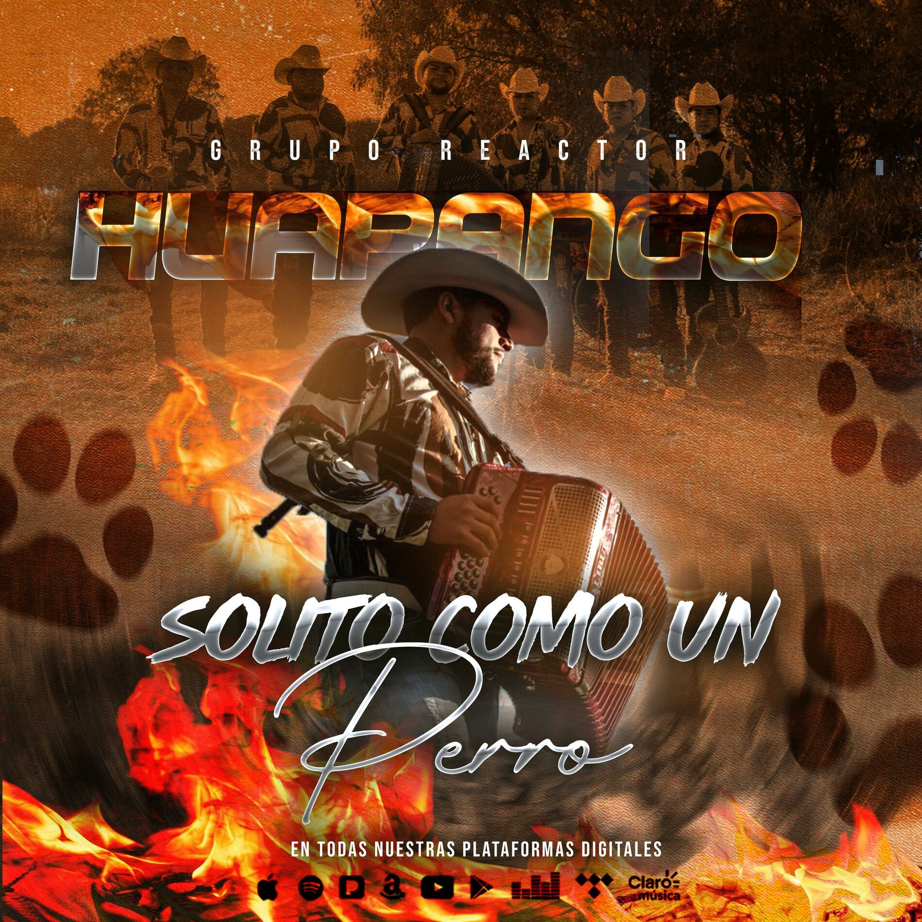 Album cover of Solito como un perrito