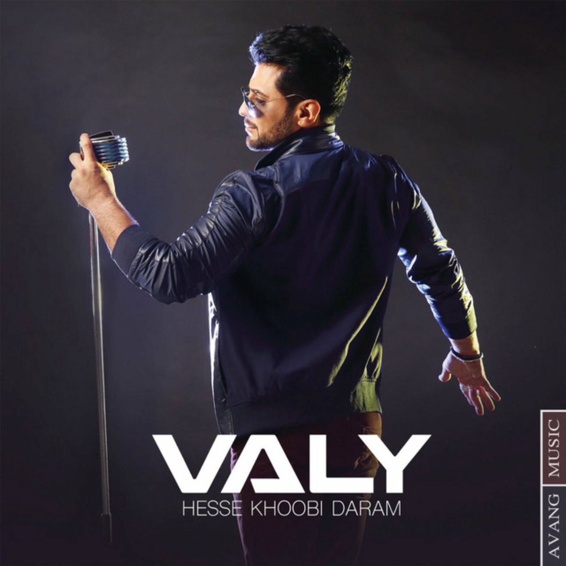 Album cover of Hesse Khoobi Daram